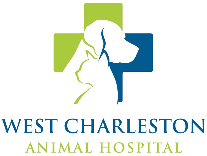 West Charleston Animal Hospital